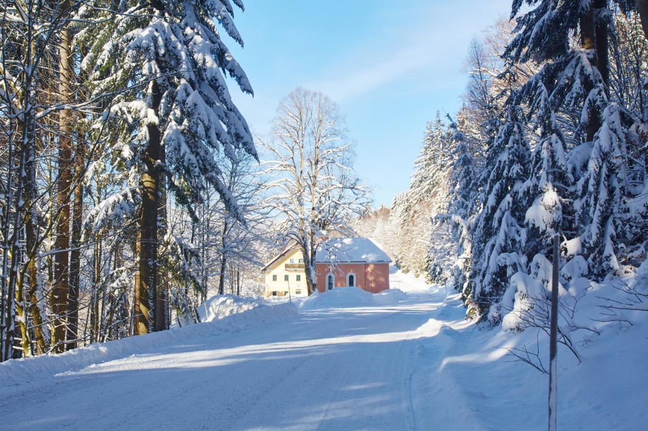 Forsthaus Apartment Holzschlag Buitenkant foto